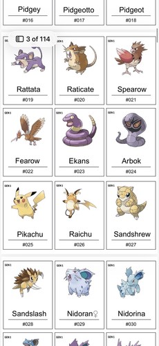 Pokemon binder placeholders - binder,