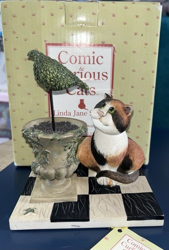 Comic curious cats a2185 - curious, a