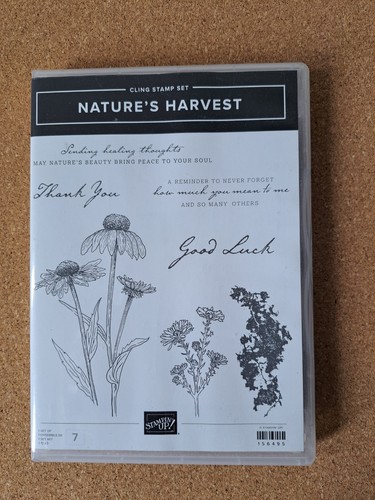 Stampin cling stamp set - up!,
