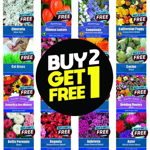 Flower seeds grow - flower, own