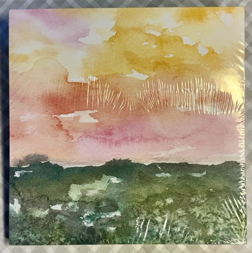 Stampin new horizons - stampin’, dsp