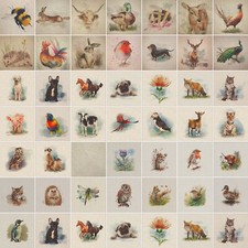 Luxury Cotton Rich Digital