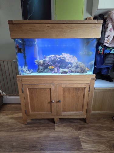 Aqua oak 100cm aquarium - aquarium, &