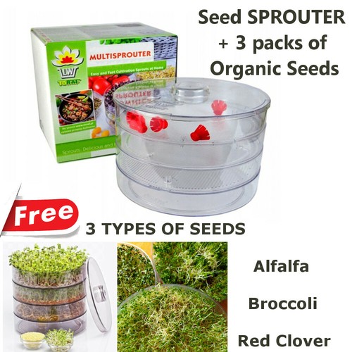 Kitchen seed sprouter - seed,