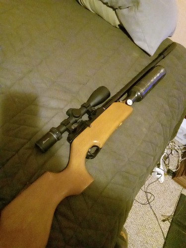 M16a with 4x14 burris - with,