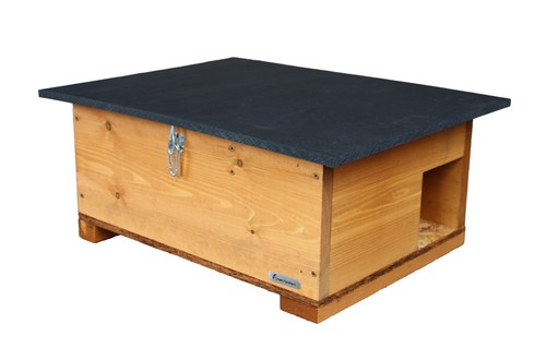 Eco friendly wooden hedgehog - eco-friendly,