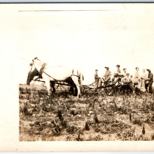 C1900s farmer men women - farmer, &