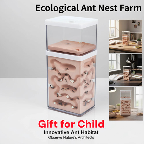 Insect ant moisture - ant, nest