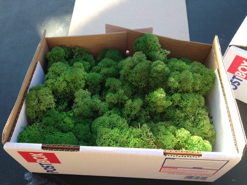 200g box model moss - box,
