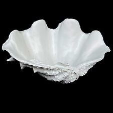 Resin Large Clam  feature