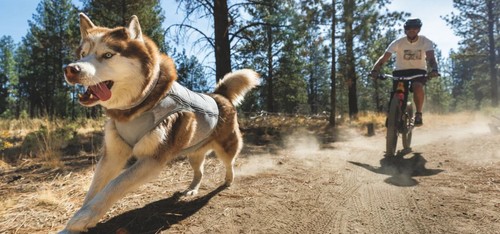 Ruffwear swamp cooler zip - cooler, zip™