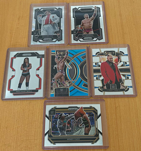 Panini wwe card lot - panini,