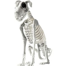 Scary Dog Skeleton Sitting Dog