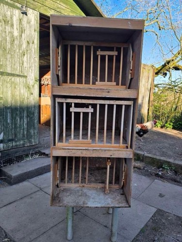 Racing pigeon nest boxes - pigeon,