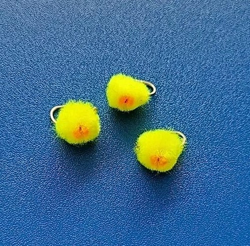 Yellow orange spot trout - 3,