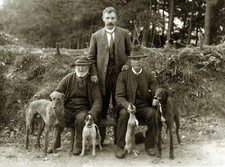 LURCHER DEERHOUND GREYHOUND DOG GREETINGS NOTE CARD THREE MEN AND THEIR DOGS