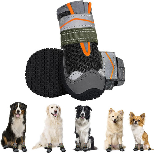 Eyein dog boots - dog,