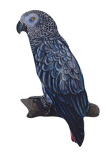 African Grey Parrot Plaque -