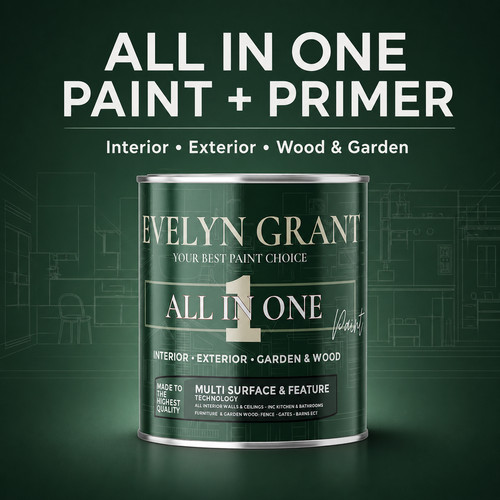 Evelyn grant all - all-in-one, paint