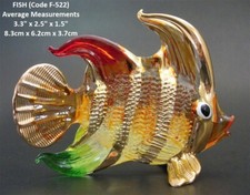Beautiful GLASS FISH