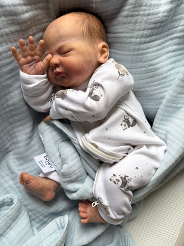 Beautiful hand painted reborn - beautiful,