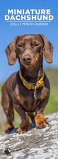 Miniature Dachshund Dog 2026 Slim Calendars