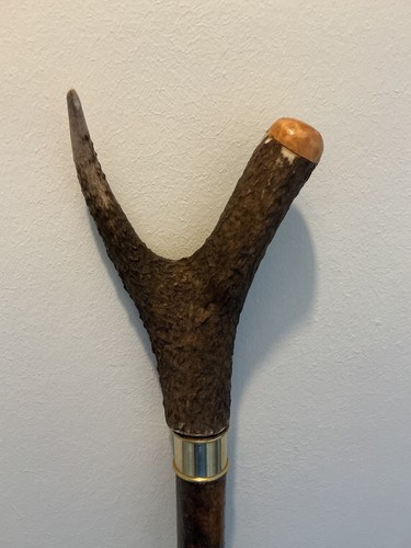 Walking stick - walking,
