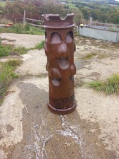 Large Victorian Strawberry