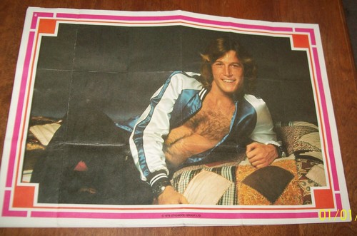 1978 stigwood andy gibb - 1978,