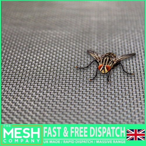The mesh company fly - mesh,