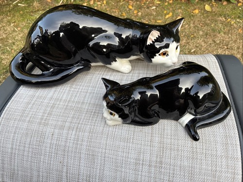 Just cats co staffordshire - just,