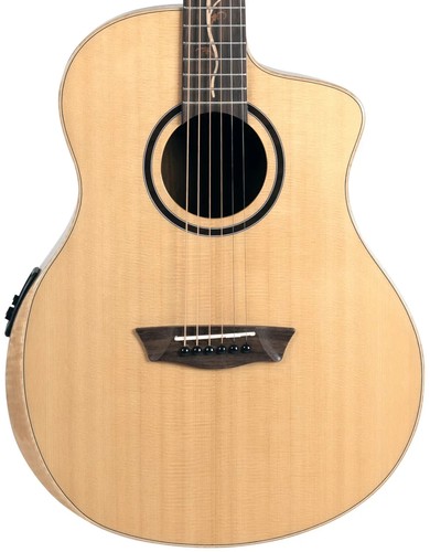 Washburn btsc40sce bella tono - washburn,
