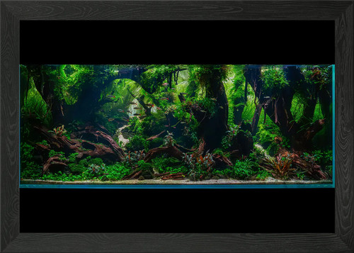 Hanging gardens aquarium - hanging,