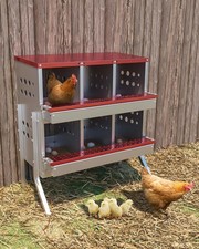 Chicken Nesting Box 6