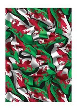Welsh Flag Water Transfer Film