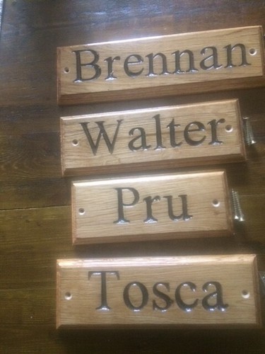 Personalised horse pony - personalised,