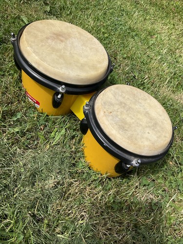 Vintage percussion plus - percussion, twin