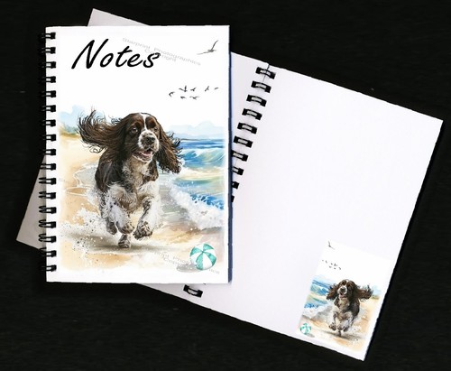 English springer spaniel - english,