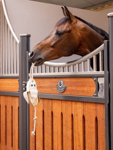 Lemieux horse toy banana - toy,