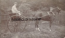 C 1910 Horse & Trap Real Photo