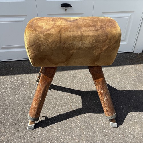 Vintage pommel vaulting - vintage,