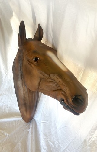 Life size horse head - horse, model