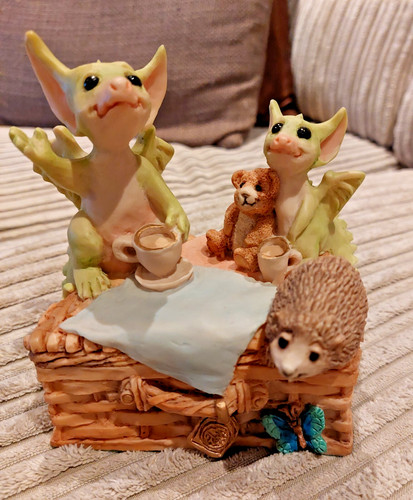 Pocket dragons won t - pocket, you