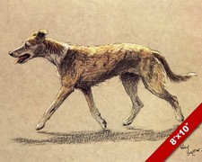 LURCHER PET PUPPY DOG ANIMAL ART CECIL ALDIN PAINTING PRINT ON REAL CANVAS