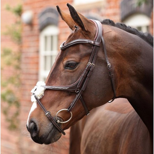 Shires velociti lusso opus - velociti,