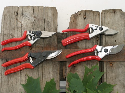 Felco secateurs - felco,