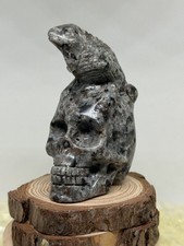 Yooperlite Skull With Lizard