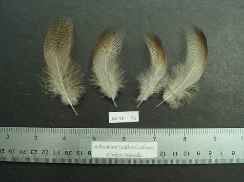 Two pairs bronze - 3"/3.5",