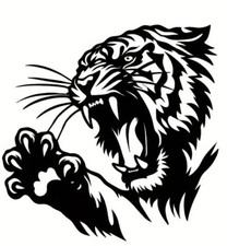 MEDIUM 11"  tiger claw car