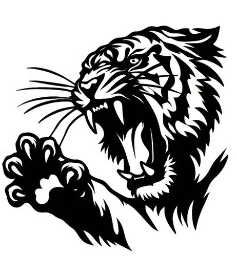 Medium tiger claw - medium,